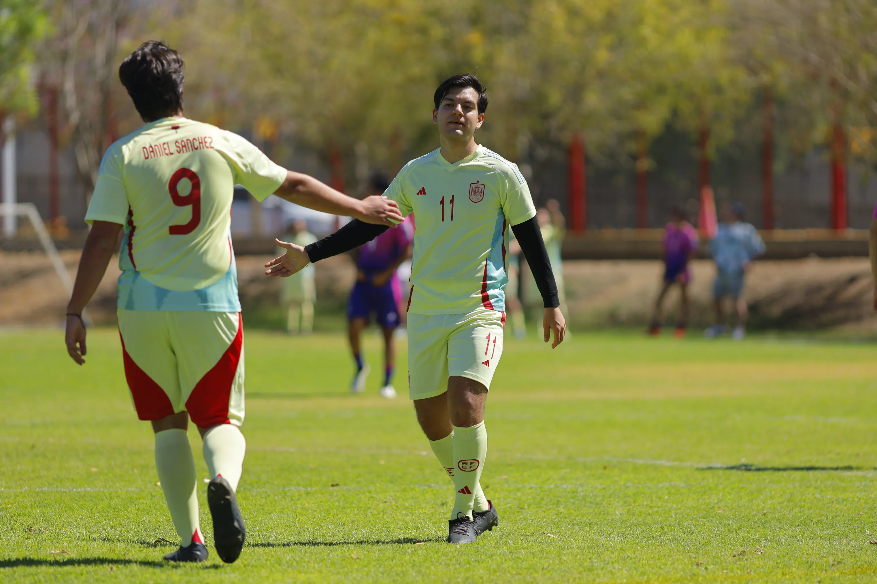 banner-partido